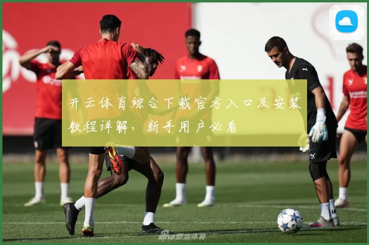 开云体育综合下载官方入口及安装教程详解，新手用户必看