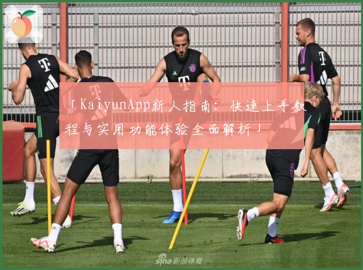「KaiyunApp新人指南：快速上手教程与实用功能体验全面解析」